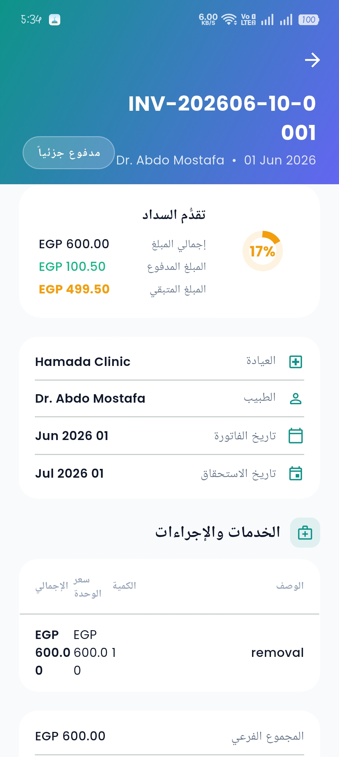 تفاصيل الفاتورة والمدفوعات